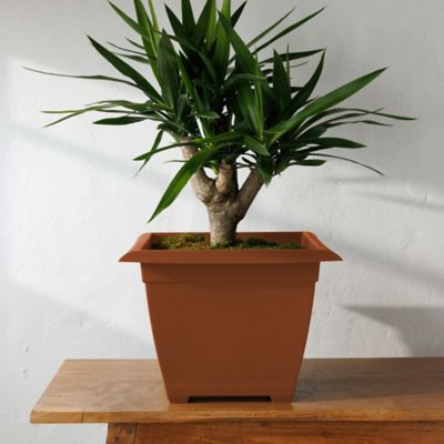 Image showing  Dayton Square Deck Planter, 15 in. Terra Cotta, 4.5 Gal Capacity