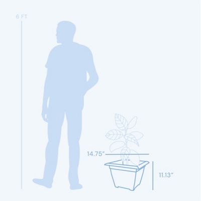 Image showing 5 th Bloem Dayton Square Deck Planter, 15 in. Terra Cotta, 4.5 Gal Capacity