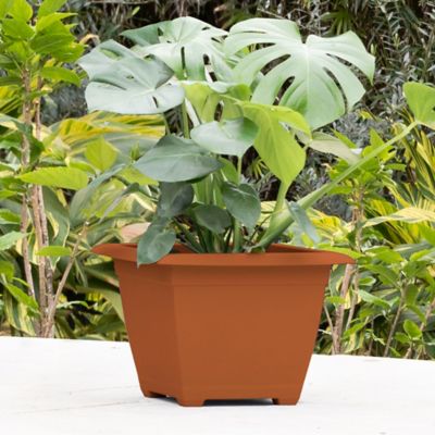 Image showing 6 th Bloem Dayton Square Deck Planter, 15 in. Terra Cotta, 4.5 Gal Capacity