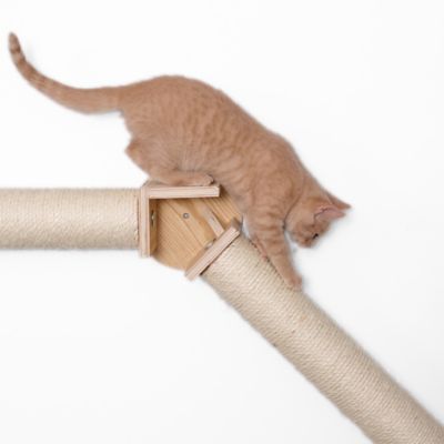 Image showing 8 th Armarkat Wall Series Wall Climbing Cat Post Bridge W2307