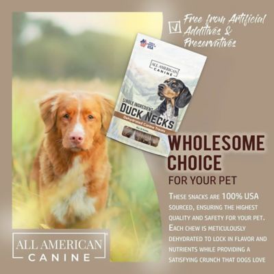 Image showing 5 th All American Canine Duck necks Dehydrated Dog Treats, 12 Count