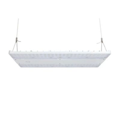 Image showing  Loya 2ND GEN LED Linear High Bay Adj Watt 240W,270W,310W 36240,46810 Lumens Adj CCT White Housing