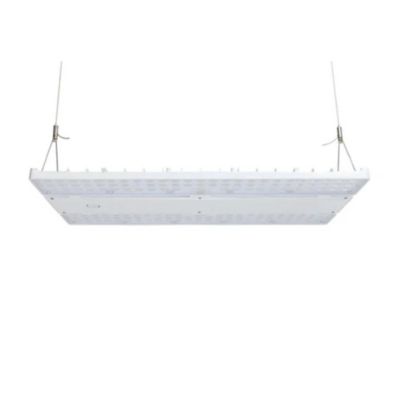 Image showing  Loya 2ND GEN LED Linear High Bay Adj Watt 240W,270W,310W Adj CCT White Housing
