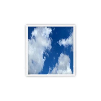 Beyond LED Technology Elite 2nd Gen LED Flat Panel Cloud Design Adjustable Wattage 4875 Lumen CCT 120,277Vac 2 x 2, 4 pk.