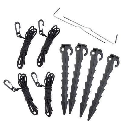 Image showing  Animated Christmas Inflatable Santa and Puppy