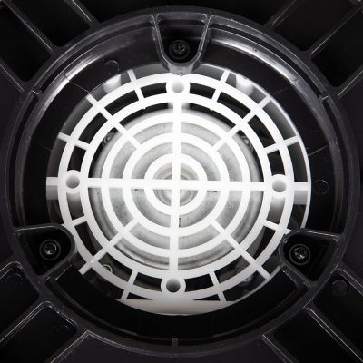 Image showing  Christmas Inflatable Border Collie