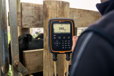 Image showing  W-1 Livestock Scale Head Unit with Bluetooth and Gallagher Animal Performance App Compatibility