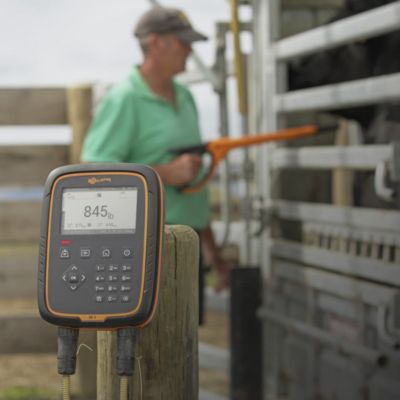 Image showing  W-1 Livestock Scale Head Unit with Bluetooth and Gallagher Animal Performance App Compatibility