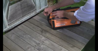 Image showing  TW-3 Livestock Weigh Scale Head Unit and Data Collector EID Compatible