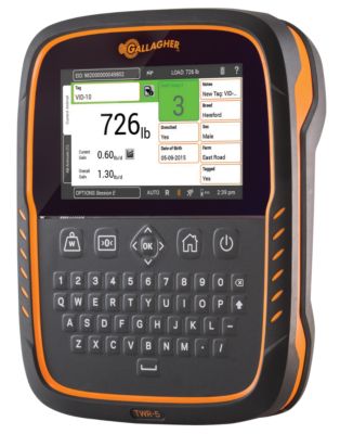 Image showing  TW-5 Livestock Weigh Scale Head Unit and EID Compatible Data Collector