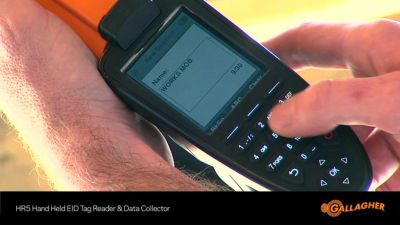 Image showing  HR5 Handheld EID Reader for Livestock Data Collection