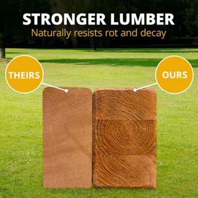 Image showing 5 th Gorilla Playsets Empire Wooden Swing Set with Monkey Bars, Multiple Decks, and Playset Slides, 01-0089-AP