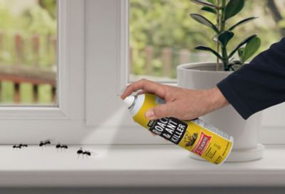 Image showing  Roach and Ant Aerosol, 16 oz.