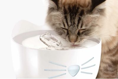 Image showing  Pixi Smart Fountain