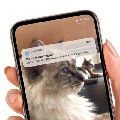 Image showing 5 th Catit Pixi Smart Fountain