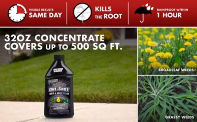 Image showing  One Shot Weed and Grass Qt Concentrate