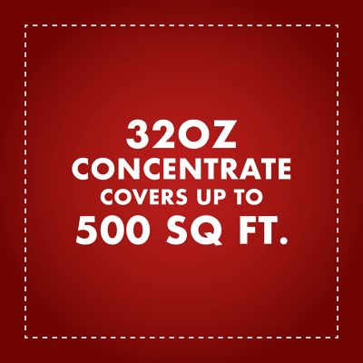 Image showing 5 th Spectracide One Shot Weed and Grass Qt Concentrate