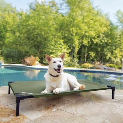 Image showing  Elevated Pet Bed Pro with Heatshield Cooling Fabric