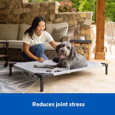 Image showing  Elevated Pet Bed Pro with Heatshield Cooling Fabric