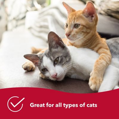 Image showing  Complete Cat Brush, W405