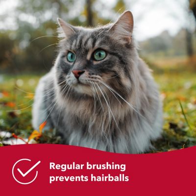 Image showing  Complete Cat Brush, W405