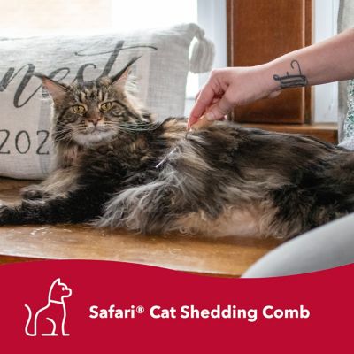 Image showing  Cat Shedding Comb