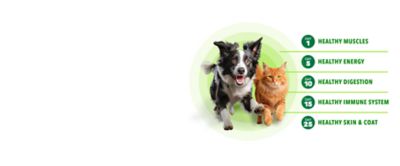 Image showing  Proactive Health Adult Chicken and Rice Classic Ground Wet Dog Food, 13 oz.