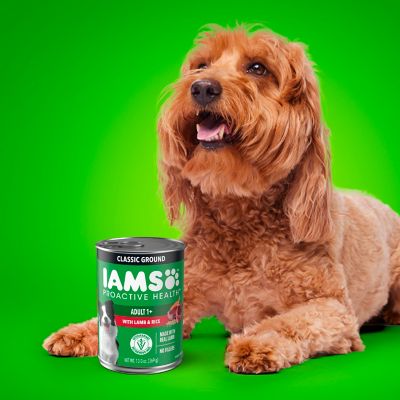 Image showing 9 th Iams Proactive Health with Lamb And Rice Classic Ground, 13 oz.