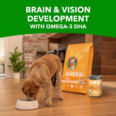 Image showing 5 th Iams Puppy Classic Ground with Chicken and Rice Wet Dog Food, 13 oz.