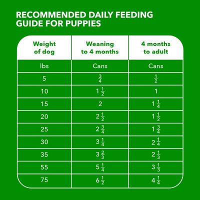 Image showing 7 th Iams Puppy Classic Ground with Chicken and Rice Wet Dog Food, 13 oz.