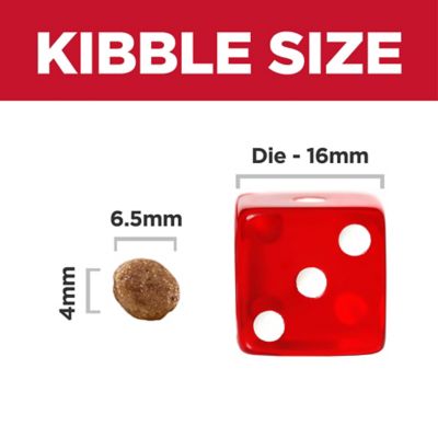 Image showing  Puppy Small Bites Chicken Meal and Barley Recipe Dry Dog Food