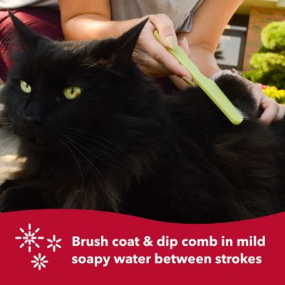 Image showing  Cat Flea Combs, 6.25 in. L x 1.375 in. W