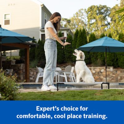 Image showing 1 th Coolaroo Elevated Pet Bed Pro with Heatshield Cooling Fabric