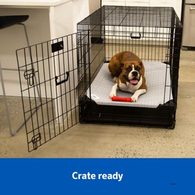 Image showing 6 th Coolaroo Elevated Pet Bed Pro with Heatshield Cooling Fabric