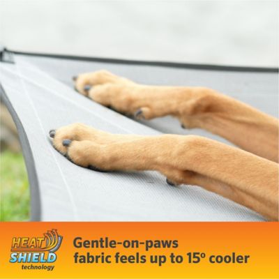 Image showing  Elevated Pet Bed On-The-Go with HeatShield