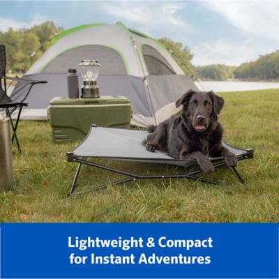 Image showing 5 th Coolaroo Elevated Pet Bed On-The-Go with HeatShield