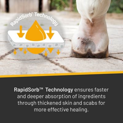 Image showing  6 oz. Rapid Skin Relief Vet Strength Equine Scratches Spray