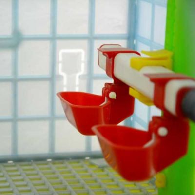 Image showing  Comfortplast Grow Out Pen, 2 Section H 9.5 in.