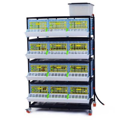 Hatching Time Comfortplast Grow Out Pen, 4 Layer H 9.5 in., 3 Section Per Layer