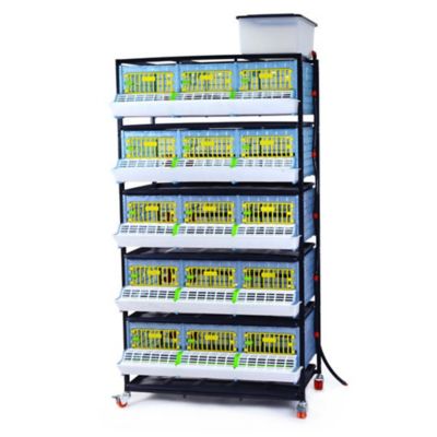 Hatching Time Comfortplast Grow Out Pen, 5 Layer H 9.5 in., 3 Section Per Layer