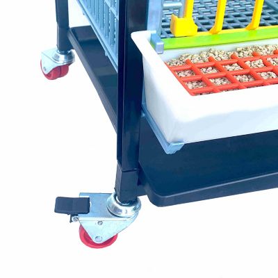 Image showing  Comfortplast Grow Out Pen, 1 Layer H 15 in., 3 Section Per Layer