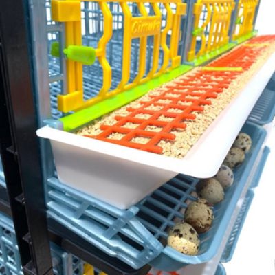 Image showing 6 th Hatching Time Comfortplast Traditional Quail Cage, 3 Layer, 3 Section Per Layer