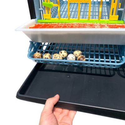 Image showing 7 th Hatching Time Comfortplast Traditional Quail Cage, Double Layer Addition, 3 Section Per Layer