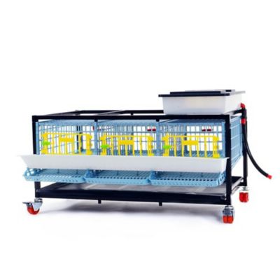 Hatching Time Comfortplast Jumbo Quail Cage, 1 Layer, 3 Section Per Layer