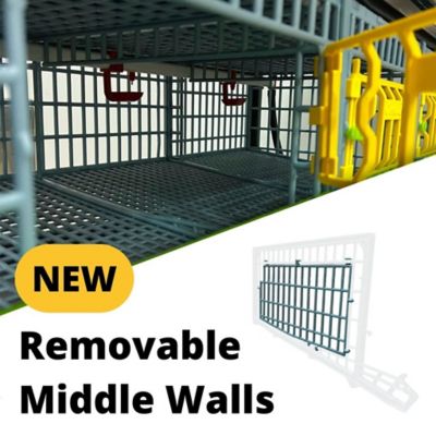 Image showing  Comfortplast Jumbo Quail Cage, 1 Layer, 3 Section Per Layer