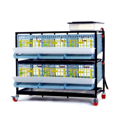 Hatching Time Comfortplast Jumbo Quail Cage, 2 Layer, 3 Section Per Layer