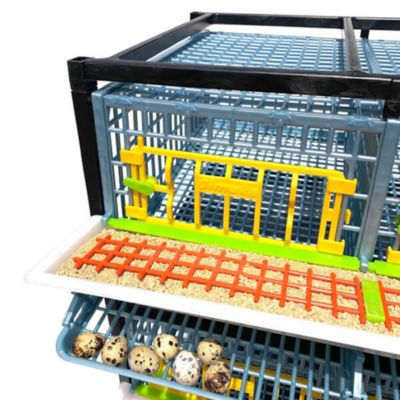 Image showing  Comfortplast Jumbo Quail Cage, 2 Layer, 3 Section Per Layer