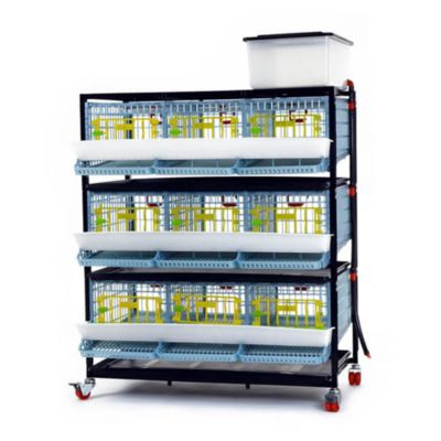 Cimuka Jumbo Quail Cage, 45 Quail Capacity, 3 Layer