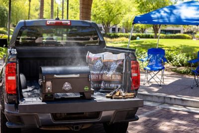 Image showing  Portable Battery Powered Wood Pellet Grill