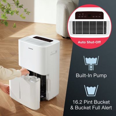 Image showing  Energy Star 50 pt., Portable Dehumidifier with Pump